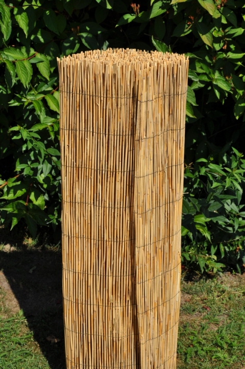 Rohož plotová rákos 130x500 cm