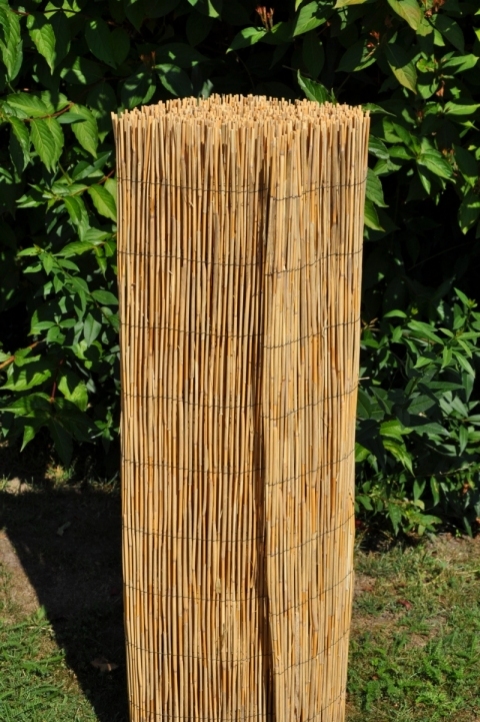 Rohož plotová rákos 180 x 500 cm