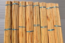 Bambusová tyč 4- 5 cm, délka 2 metry